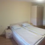 трънската къща Guest house